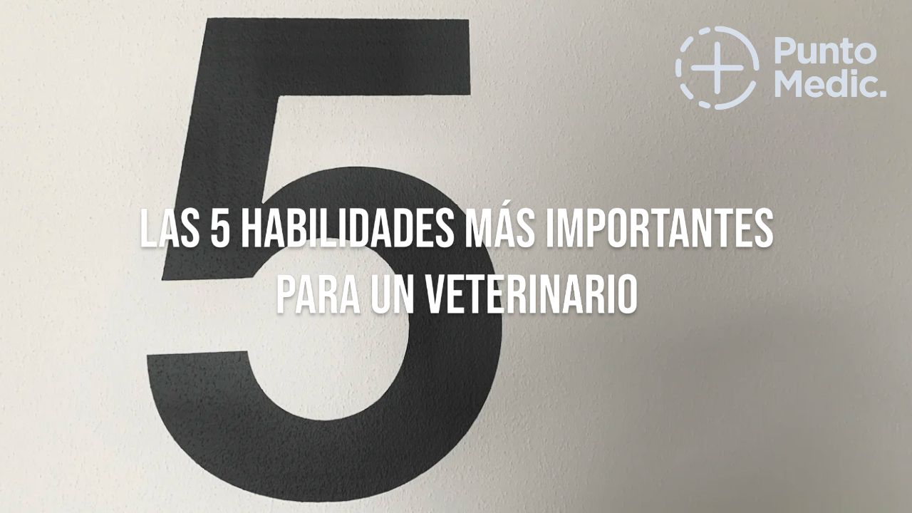Las 5 habilidades más importantes para un veterinario