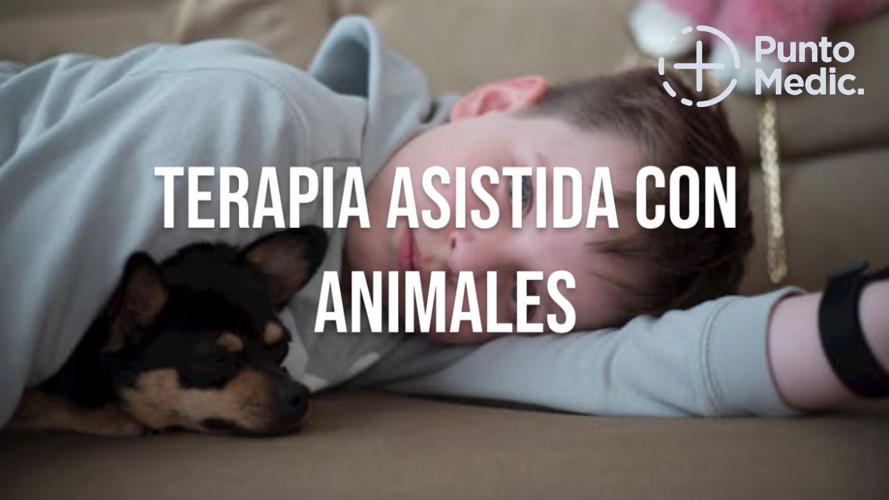 Terapia asistida con animales: Beneficios y aplicaciones en la salud mental
