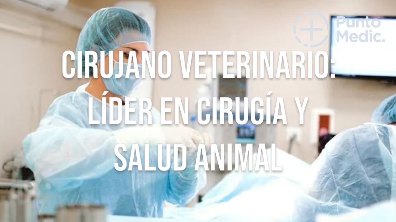 Cirujano Veterinario: Líder en Cirugía y Salud Animal