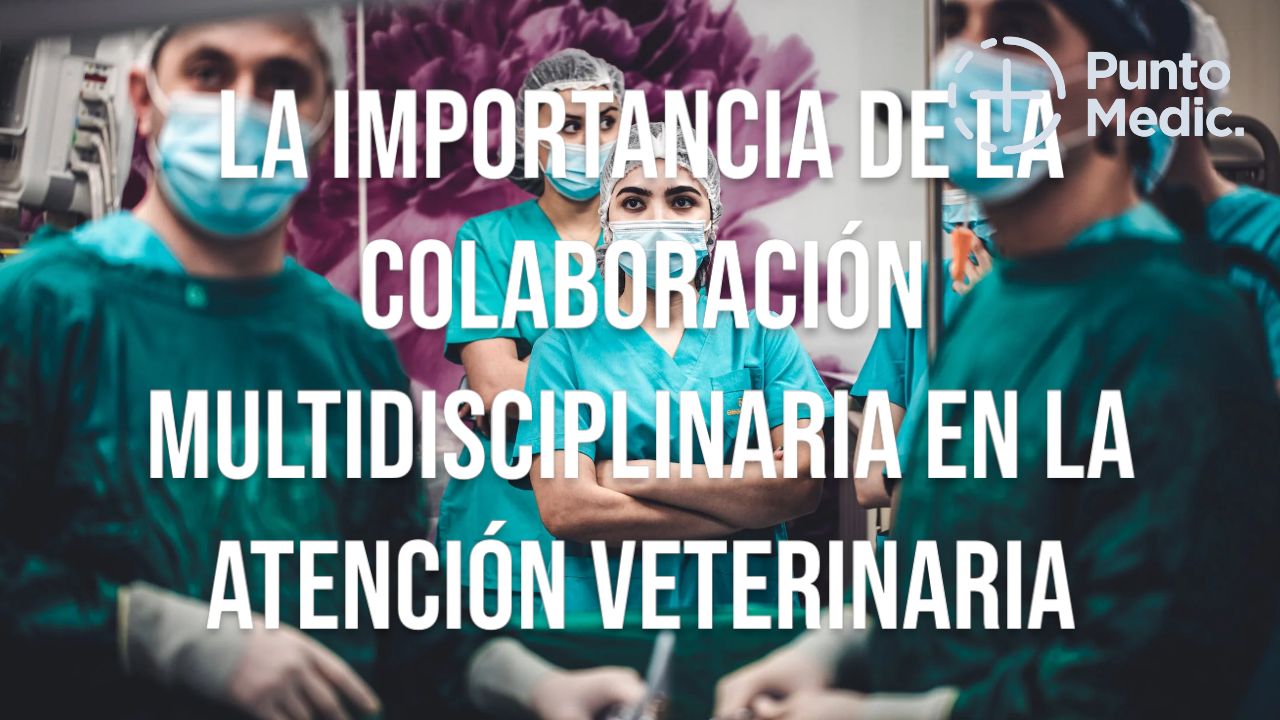 La importancia de la colaboración multidisciplinaria en la atención veterinaria