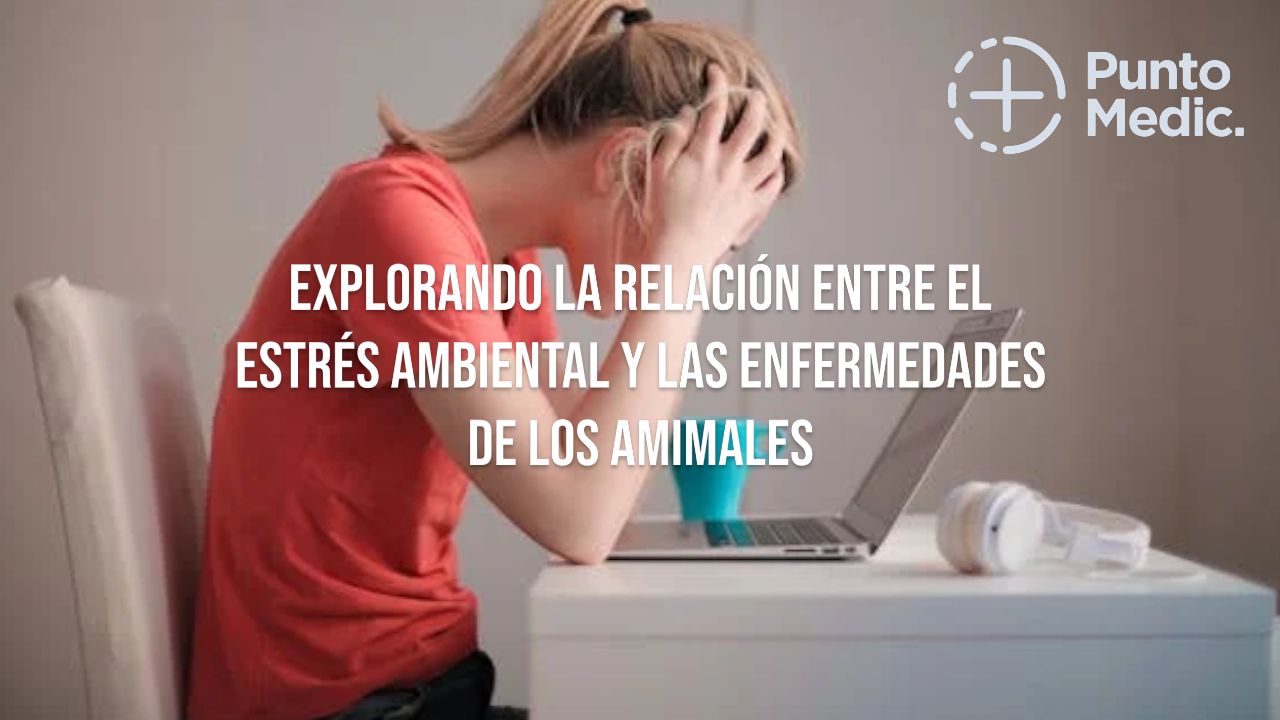 Explorando la relación entre el estrés ambiental y las enfermedades de los animales