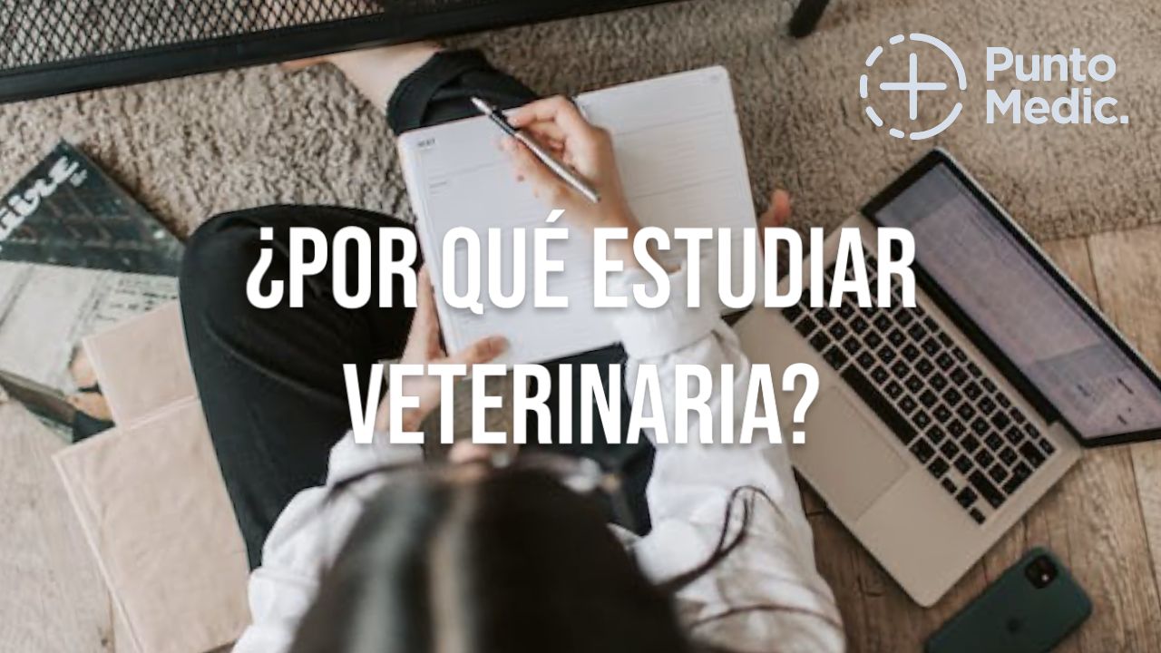 ¿Por qué estudiar veterinaria?