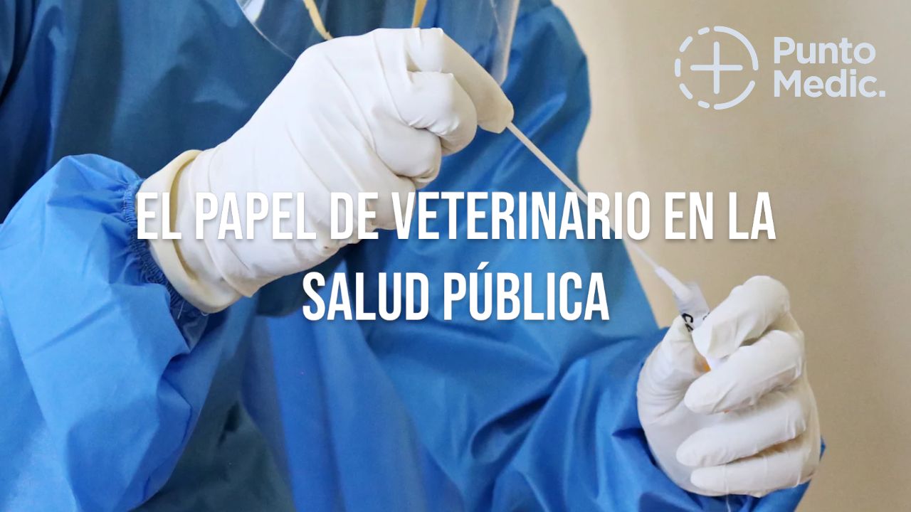 El papel del veterinario en la salud pública