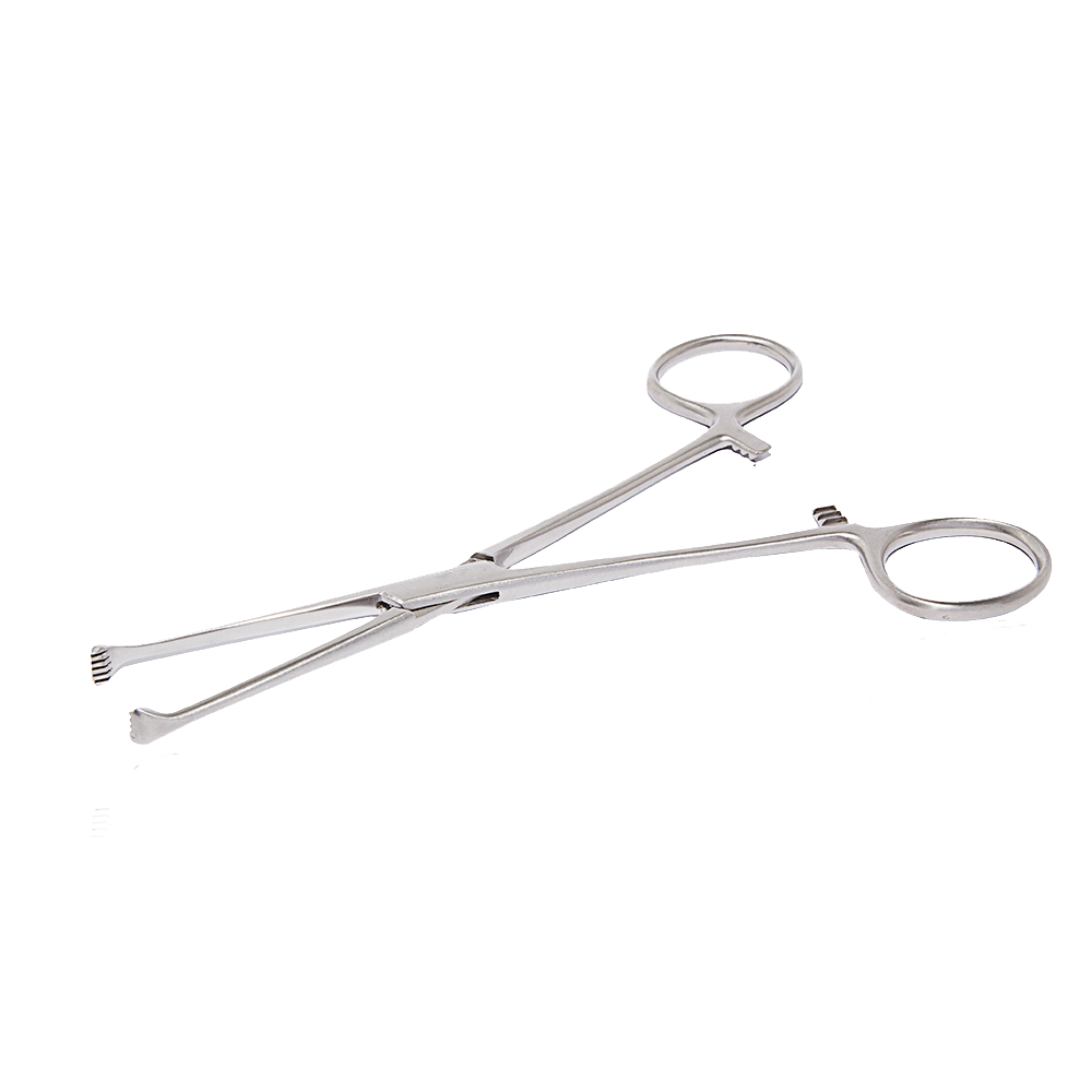 PINZA ALLIS 5X6 DIENTES 19 CM