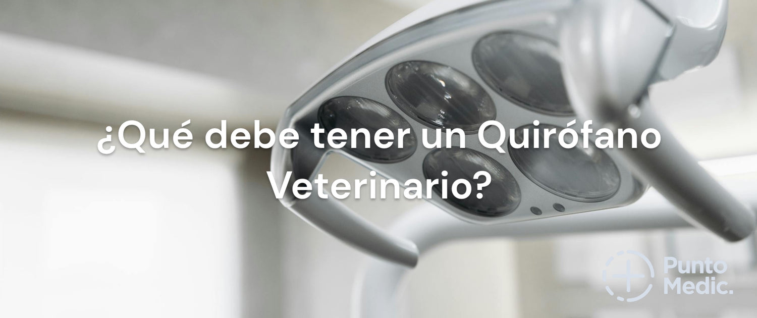 ¿Qué Debe Tener un Quirófano Veterinario?