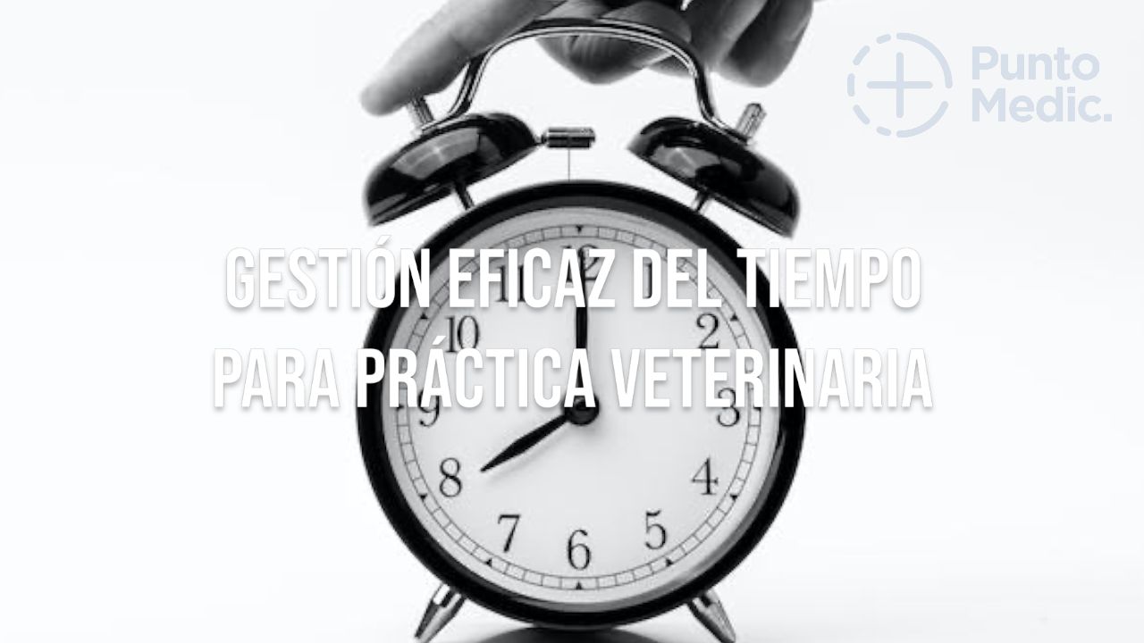 Gestión eficaz del tiempo en la práctica veterinaria: Consejos prácticos para profesionales
