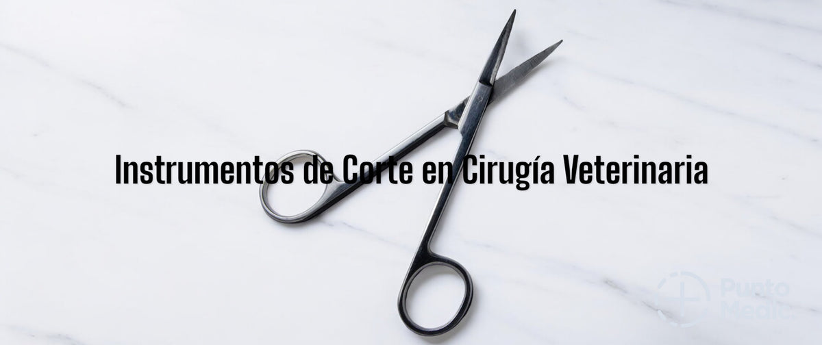 ¿Qué Instrumento se Utiliza para Cortar Tejidos en Cirugía Veterinaria ...
