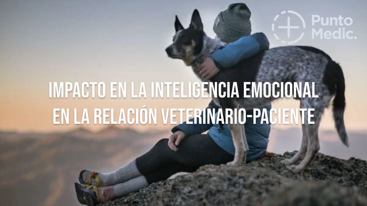 Impacto de la inteligencia emocional en la relación veterinario-paciente
